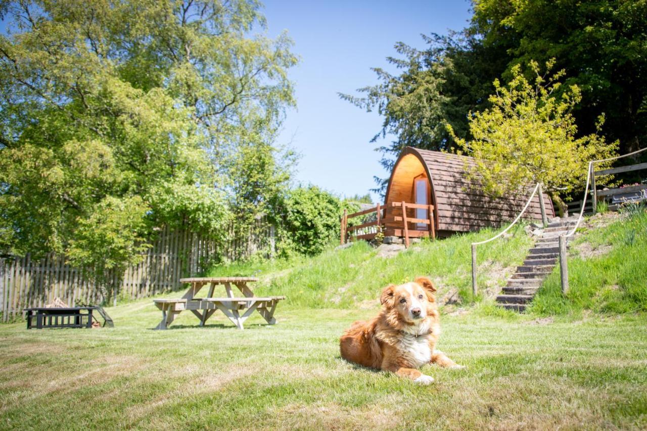 Ty Grug Pods Hotel Bryngwyn Екстериор снимка